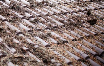 Highlane roof cleaning companies